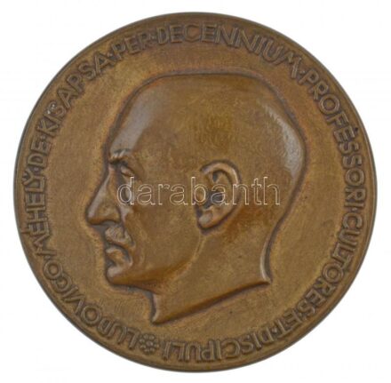 Reményi József (1887-1977) 1925. 'Méhely Lajos' kétoldalas bronz emlékérem. 'LUDOVICO MÉHELY DE KISAPSA PER DECENNIUM PROFESSORI CULTORES ET DISCIPULI / FELIX QUI POTUIT RERUM COGNOSCERE CAUSAS' (73mm) T:1- HP 4370.