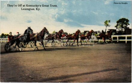 Lexington (Kentucky), They're Off at Kentucky's Great Trots, horse racing (EK)