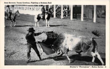 Fort Worth (Texas), Sam Stewart, Texas Cowboy, Fighting a Brahma Bull. Stryker's 'Photogloss' Rodeo Series (EK)