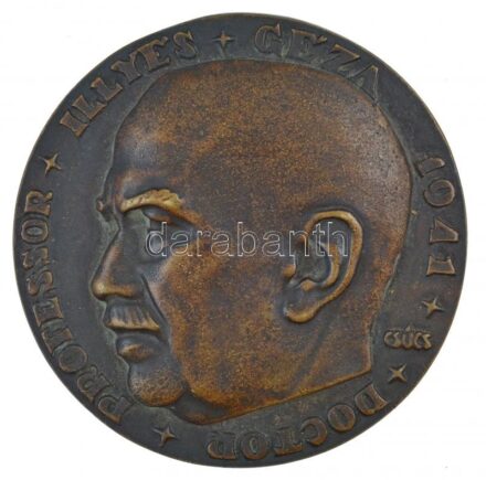 Csúcs Ferenc (1905-1999) 1941. 'Doctor Professor Illyés Géza 1941' kétoldalas, bronz emlékérem, peremén '37' sorszámmal (88mm) T:1-