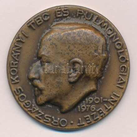 Reményi József (1887-1977) 1976. 'Országos Korányi TBC és Pulmonológiai Intézet - 1901-1976' egyoldalas, öntött bronz emlékérem (40mm) T:2 patina