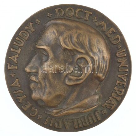 Csúcs Ferenc (1905-1999) 1946. 'Dr. Faludy Géza' öntött bronz plakett, peremen '22'-es sorszámmal 'GEYSA FALUDY DOCT MED UNIVERSAE JUBILARIS / MCCMXCVI - MCMXLVI' (~75-76mm) T:1- ph. HV 135.