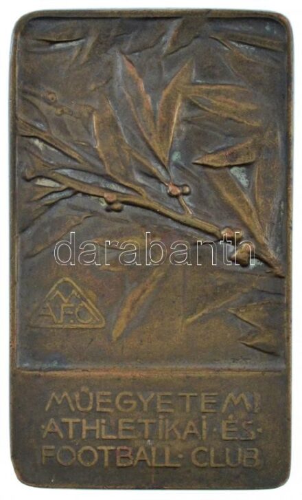 Maróti Géza (1875-1941) ~1920 'MAFC - Műegyetemi Athletikai és Football Club' egyoldalas bronz plakett (60x35mm)T:2 patina, ph