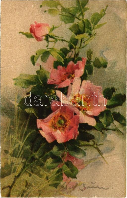 1929 Flowers s: C. Klein (fa)