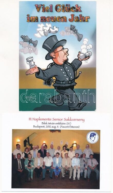 16 db MODERN sakk motívum képeslap, közte pár erotikus / 16 modern chess motive postcards with some erotic ones