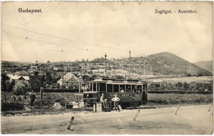 1910 Budapest XII. Zugliget, BKVT 72-es sorszámú villamos. Schwarz J. kiadása (fa)