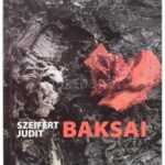 Szeifert Judit: Baksai. A művész, Baksai József (1957-) által dedikált! Bp., 2007, Globe Print. 367 p. Kiadói papírkötés. - Image 2