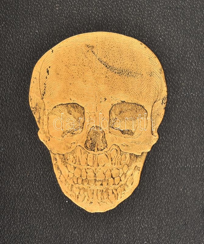 Dr. C. Heitzmann: Die descriptive und topographische Anatomie des Menschen. Wien-Leipzig, 1896, Wilhelm Braumüller, XXXIV+592 p. Rengeteg szövegközi és egészoldalas illusztrációval. Német nyelven. Kiadói aranyozott, dombornyomott - Image 2