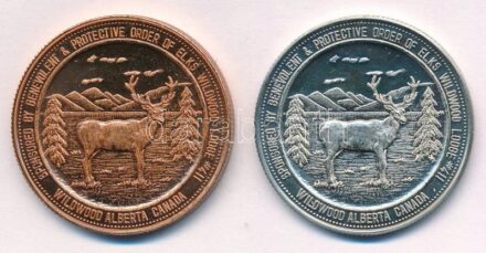 Kanada / Alberta / Wildwood 1996-1997. 2$ helyi pénz (2xklf: 'Junkins School District', 'World Coin Week') T:1,2 Canada / Alberta / Wildwood 1996-1997. 2 Dollars local money (2xdiff: 'Junkins School District', 'World Coin Week') C:UNC,XF