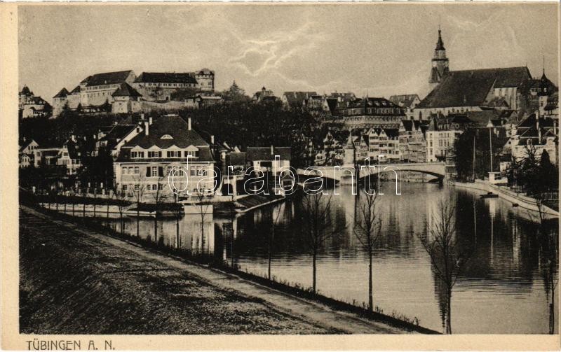 1918 Tübingen, general view with bridge and castle