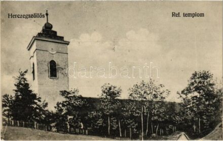 Hercegszöllős, Hercegszőlős, Knezevi Vinogradi; Református templom / Calvinist church