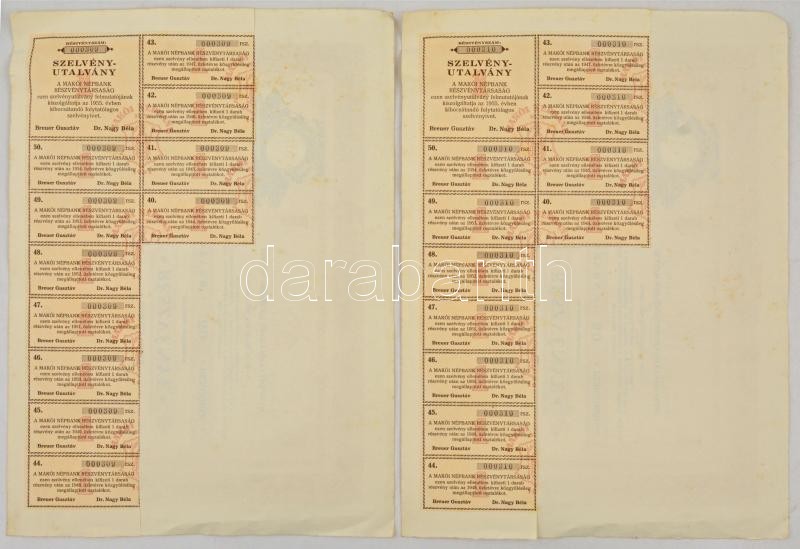 Makó 1929. 'Makói Népbank Részvénytársaság' részvénye 50P-ről (2x), sorszámkövetők '000309 - 000310', szelvényekkel, szárazpecséttel T:II folt - Image 2