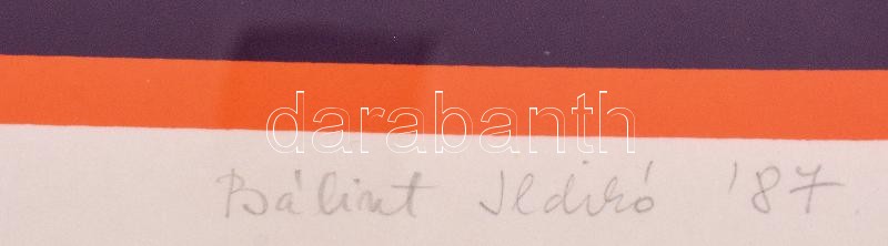 Bálint Ildikó (1942-): Altatás, 1987. Szitanyomat, papír. Jelzett. Művészpéldány E.A V/VII. számozással. 35×47 cm - Image 2