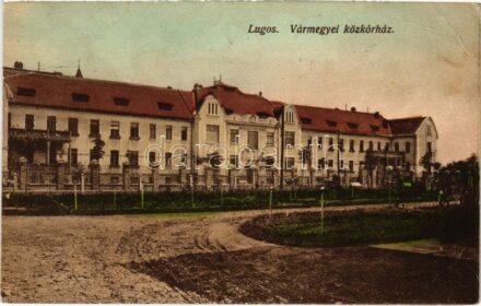 Lugos, Lugoj; Vármegyei közkórház / county hospital (fa)