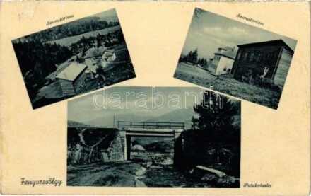 Fenyvesvölgy, Stavna, Stavne, Sztavne; Szanatórium, patak, híd. Mérai Jánosné kiadása / sanatorium, creek, bridge