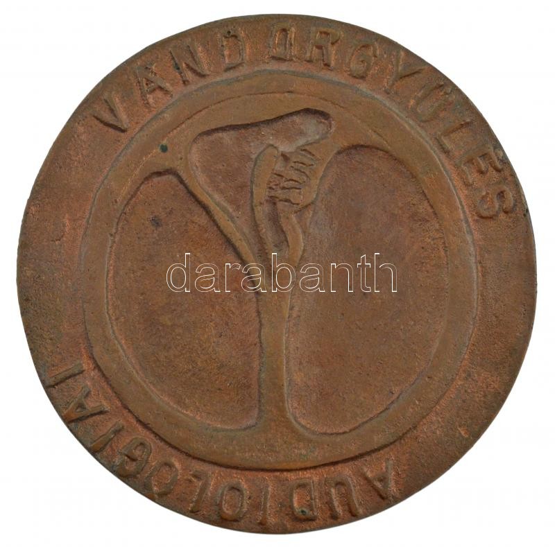 1983. 'Audiológiai Vándorgyűlés / Baja 1983' kétoldalas öntött bronz emlékérem (97mm) T:2 patina