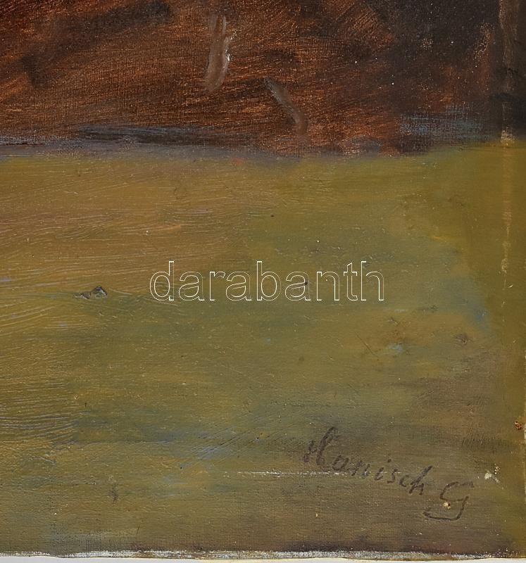 Hanisch Gy. jelzéssel: Virágcsendélet. Olaj, vászon, 80x58,5 cm - Image 2