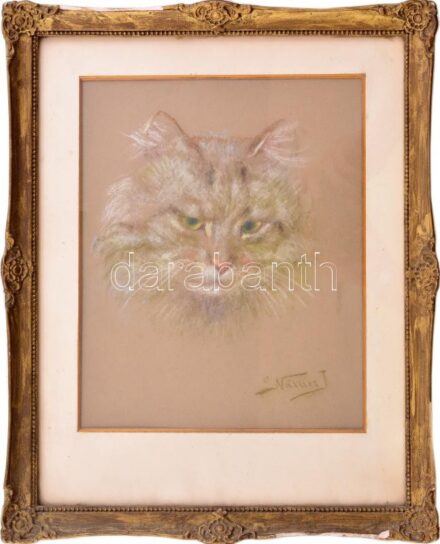 Nádler (?) jelzéssel: Cica. Pasztell, papír. Dekoratív üvegezett fakeretben, 25,5×20 cm