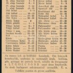 cca 1930 Grün Sándor fakereskedő reklám és árlapja - Image 3