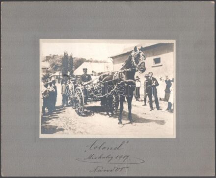 1917, Miskolc, 'Colonel' ló, egyenruhással a gyeplőnél, fotó kartonra ragasztva, jelzés nélkül, 12x17 cm.