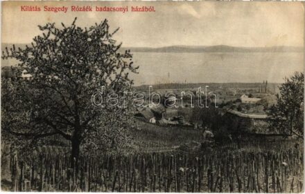 Badacsony, kilátás Szegedy Rózáék badacsonyi házából. Mérei Ignác kiadása (fa)