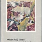 Murádin Jenő: Macskássy József képivilága. Kolozsvár, 1993., Erdélyi Híradó. Kiadói papírkötés.