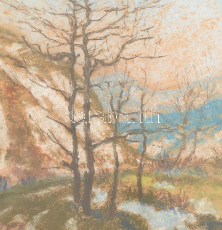 Hatvani Perlusz Gyula (1896-1944): Havas táj, 1943. Pasztell, papír, jelzett, üvegezett fakeretben, 50×40 cm - Image 3