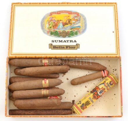 15 db vegyes szivar dobozban (Suerdieck Bahia, Neuhaus Montan Union, stb.), közte egy papírdobozos Marca Extra is