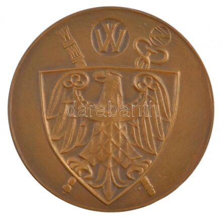 Lengyelország DN 'Orvosi Akadémia, Lengyelország' kétoldalas bronz emlékérem (70mm) T:2 patina Poland ND 'Medical Academy, Poland' two-sided bronze commemorative medallion (70mm) C:XF patina