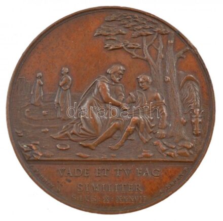 Franciaország / Lyon 1818. 'Lyoni Gyógyszertár' bronz emlékérem peremen beütéssel. Szign.: Perrin, Penin (34mm) T:2 peremen anyagfelesleg France / Lyon 1818. 'DIispensary of Lyon' bronze commemorative medallion. 'VADE ET TV FAC - SIMILITER