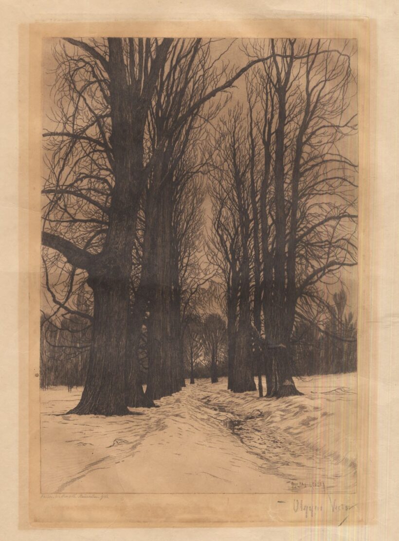 Olgyai Viktor (1870-1929):  Olgyai Viktor (1870-1929): Erdőrészlet. Rézkarc. Jelzett. Olgyai Viktor autográf aláírásával.