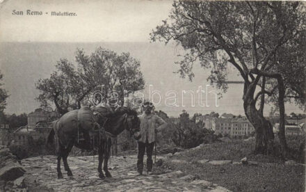 San Remo, mule