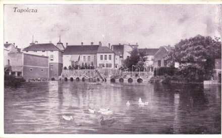 Tapolca, tó, Lőwy kiadása (EK)