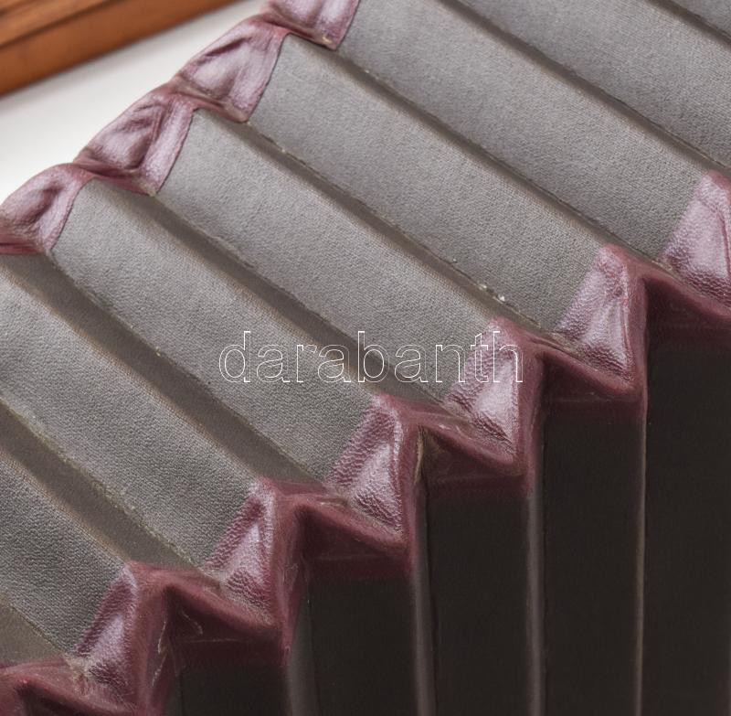 Steinhell műtermi fényképezőgép, állvánnyal. Jelzett, sorszámozott 23987. Ant. Goldmann, Wien pecséttel jelzett, 20x28 cm Eredeti dobozában, kazettákkal, hozzá állvány Fiumei vámpecséttel. Oldalán egy réz alkatrész eltört. - Image 3