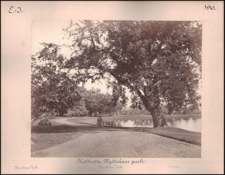 Samuel Bourne (1834-1912): India, Kalkutta, Bamagpore park / Old court house street Shepherd & Robertson Co. Kétoldalas albumin fotó kartonon. Jelzett. Cholnoky Jenő földrajztudós és utazó feliratozásával 38x30 cm /  Samuel Bourne (1834-1912): India, Kalkutta, Bamagpore park / Old court house street . Shepherd & Robertson. Double sided albumen photo on cardboard Signed. With captions by geographer and traveler Jenő