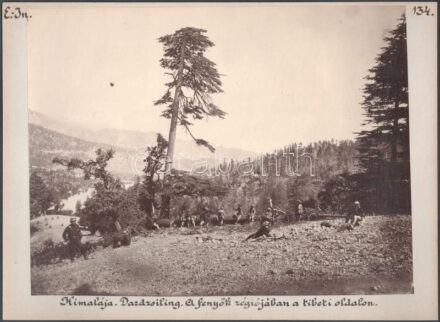Himalája, Dardzsiling tartomány, India 7 db keményhátú fotó, Shepherd & Robertson Co. 7 db albumin fotó kartonon. Cholnoky Jenő földrajztudós és utazó feliratozásával 33x25 cm /  India, Himlaja, Darjeiling photos. Shepherd & Robertson. 7 pieces of albumen photos on cardboard Signed. With captions by geographer and traveler Jenő Cholnoky 38x30