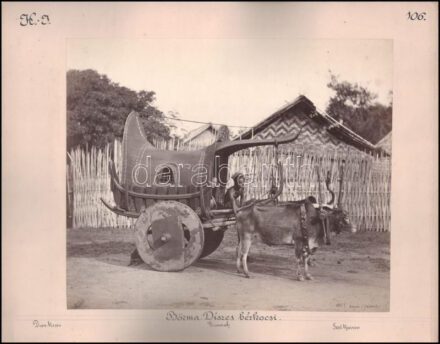 Samuel Bourne (1834-1912): Burma, Carriage / Iravadi folyó, Shepherd & Robertson Co. Kétoldalas albumin fotó kartonon. Jelzett Cholnoky Jenő földrajztudós és utazó feliratozásával 38x30 cm /  Samuel Bourne (1834-1912): Burma, Carriage / Iravadi river. Shepherd & Robertson. Double sided albumen photo on cardboard Signed. With captions by geographer and traveler Jenő Cholnoky 38x30
