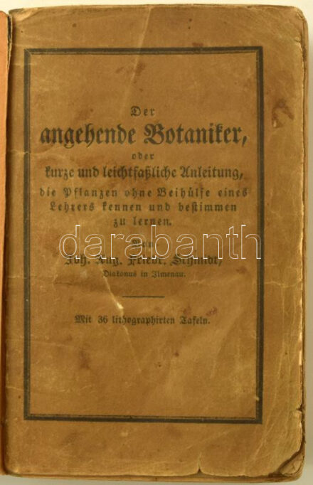 Joh[ann] Aug[ust] Friedr[ich] Schmidt: Der angehende Botaniker, oder kurze und leichtfaßliche Anleitung, die Pflanzen ohne Beihülfe eines Lehrers kennen und bestimmen zu lernen. Eine gedrängte Übersicht der botanischen Grundsätze und Terminologie, der Pflanzen-Anatomie und Physiologie und der künstlichen und natürlichen Pflanzensysteme von Linne, Jussieu und Reichenbach, nebst einer neuen analytischen Methode, die in Deutschland und den angränzenden Ländern vorkommenden Pflanzengattungen auf eine leichte Weise zu bestimmen, und einer kurzen Anweisung zum Anlegen eines Herbariums. Für die reifere Jugend überhaupt, und für angehende Mediciner, Pharmaceuten, Forstmänner, Oekonomen, Gärtner und Techniker insbesondere. Mit 36 lithographirten Tafeln. Ilmenau, 1832., B. Fr. Voigt, 1 (címkép, litográfia) t. + XII+516 p.+35 (litográfiák) t. Német nyelven. Átkötött félvászon-kötésben, eredeti bekötött elülső papírborítóval, kissé kopott borítóval, kissé sérült gerinccel, foltos