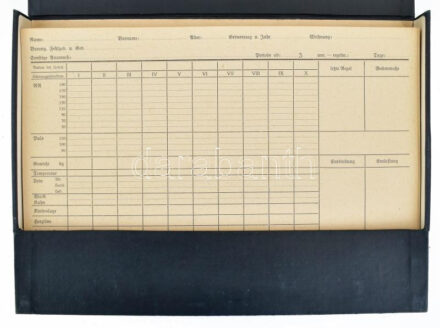 Döderlein Kartei für die Schwangerenuntersuchung: 100 Blatt mit Leitsätzen und Indikationen. Berlin - Wien, 1939., Urban und Schwarzenberg, 90 (formanyomtatványok) t. Német nyelven. Kiadói kopott egészvászon-mappában.