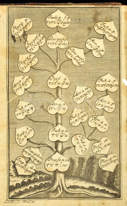 [Johann Heinrich Grischow (1678-1754)] Io[hann] Henricus Grischovius: Facilis et perspicua Grammatica Graeca, dilucidis regulis comprehensa, exemplisque necessariis et indicibus instructa. Halis Magdeburgicis, 1740, Impensis Orphanotropheum, 1 (rézmetszetű címkép) t. +10+358+58 p. Latin és görög nyelven. Korabeli félbőr-kötésben, kopott borítóval, sérült gerinccel, a kötéstáblákon sérült papírborítással, néhány lapon bejelöléssel, a szennylapok és a kötéstáblák belsején a lapok