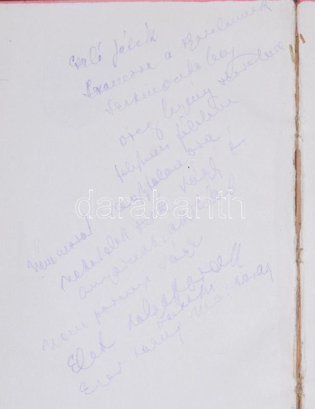 Ady Endre: A magunk szerelme. Versek. A címlapon, Sértő Kálmán (1910-1941) költő, író, újságíró ajándékozási soraival, és autográf aláírásával. Bp., 1919., Pallas, 120+3 p. 2. kiadás. Korabeli félvászon-kötés, a megajándékozott személy soraival, bejegyzéseivel és - Image 3