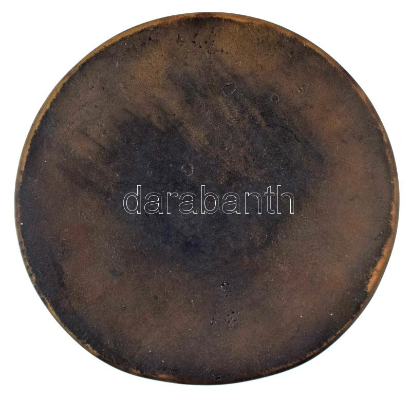 Istók János (1873-1972) 1953. "Táncsics Mihály" egyoldalas, bronz emlékérem (115mm) T:AU / Hungary 1953. "Táncsics Mihály" one-sided, bronze medallion. Sign: János Istók (1873-1972) (115mm) C:AU - Image 2