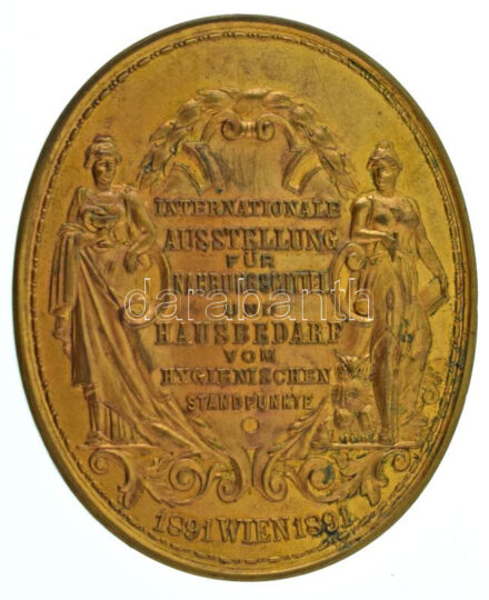 Ausztria 1891. "Internationale Ausstellung für Nahrungsmittel und Hausbedarf vom hygienischen standpunkte - 1891 Wien" aranyozott bronz emlékérem, eredeti, megegyező feliratú dísztokban (60x50mm) T:AU