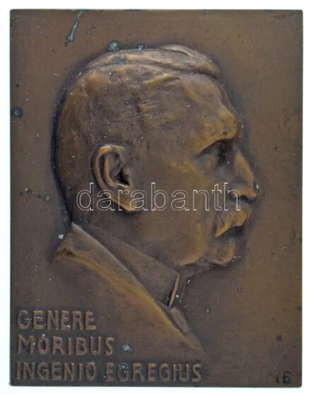 Ausztia ~1900. "GENERE - MORIBUS - INGENIO ENGREGIUS" bronz plakett. Szign.: I.E. (127g/71x33mm) T:AU patina / Austria ~1900. "GENERE - MORIBUS - INGENIO ENGREGIUS" bronze plaque. Sign.: I.E. (127g/71x33m)