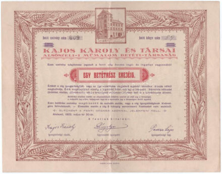 Alsószeli 1923. "Kajos Károly és Társai Alsószeli-i Műmalom Betéti Társaság" betétrésze T:VF / Hungary / Alsószeli 1923. "Mill Limited Liability Company of Károly Kajos and Co. of Alsószeli" insert coupon C:VF