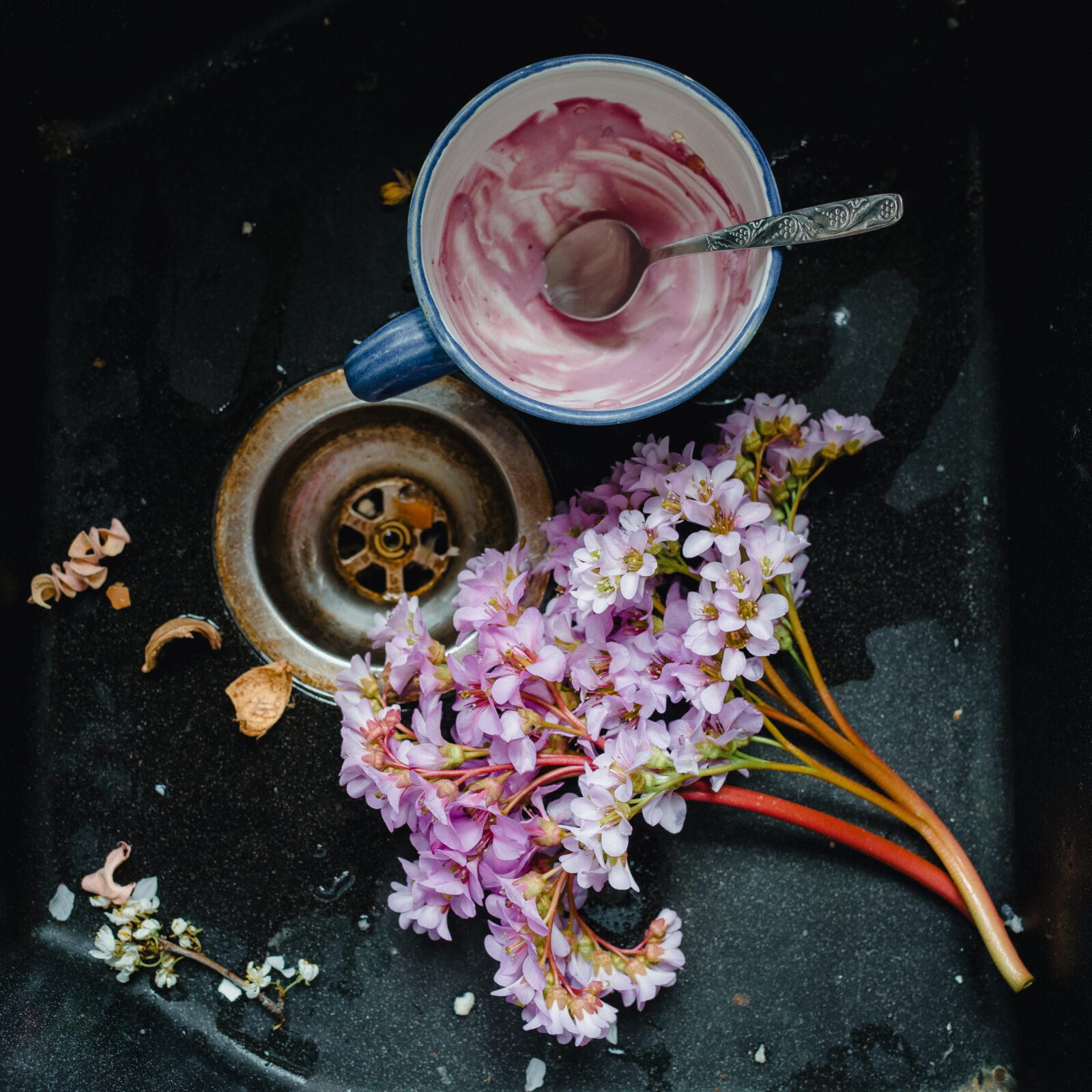 KÖLCSEY Sára (1983): Csendélet