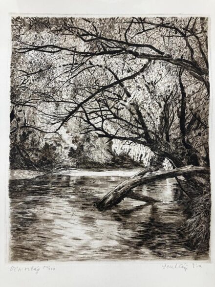 Scultéty Éva (1917-2001): Vízi világ.