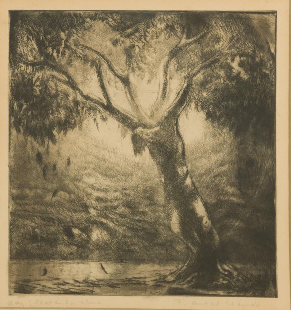 F. Antal Elemér (1896-1995): Platánfa álma (Ady Endre).