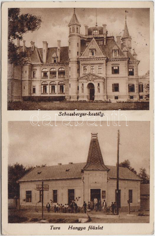 Tura, Schossberger kastély, Hangya