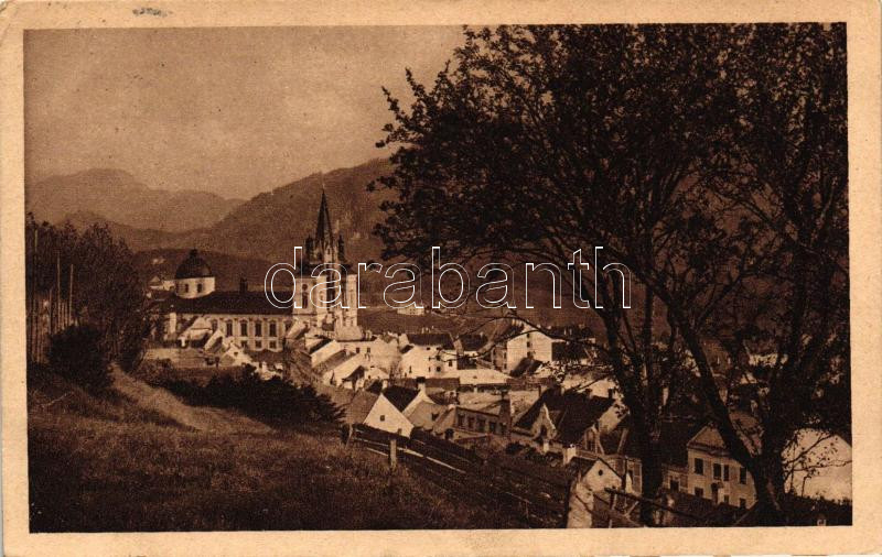 Mariazell, general view, church (EK)